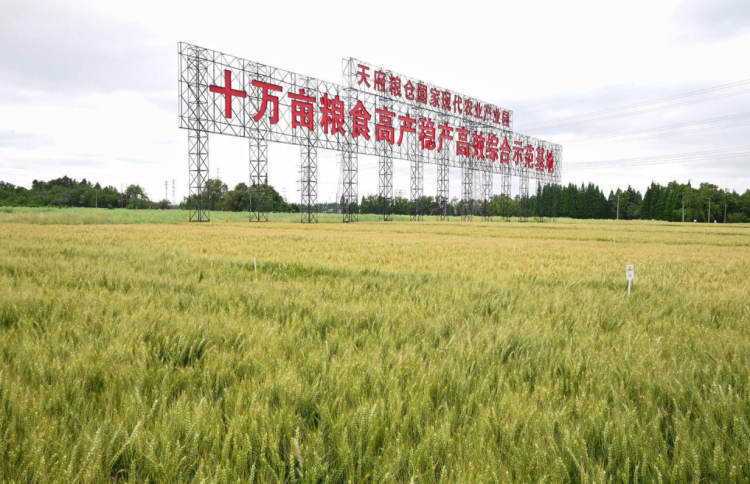 1763103547132829.png 照片2_副本.png